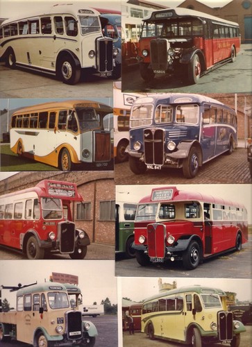 Bus rally photos - bus,