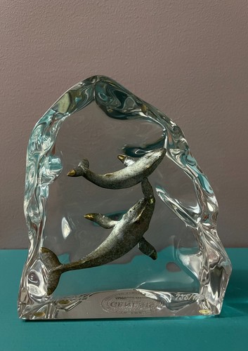 Kitty cantrell genesis lucite - cantrell,