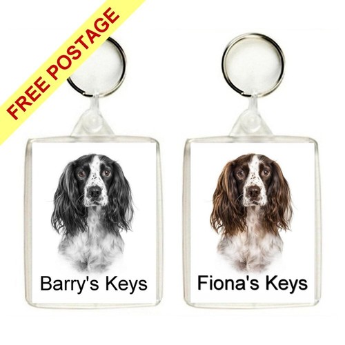 Personalised springer spaniel - springer,