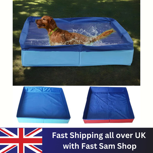 Dog puppy swimming paddling - puppy,