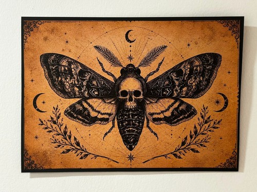 Death moth skull - moth, print