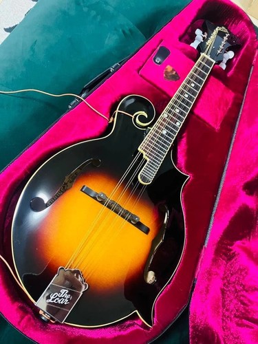 The loar 520 flat - the,