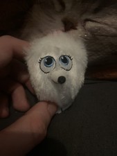 Secret life of pets Gidget