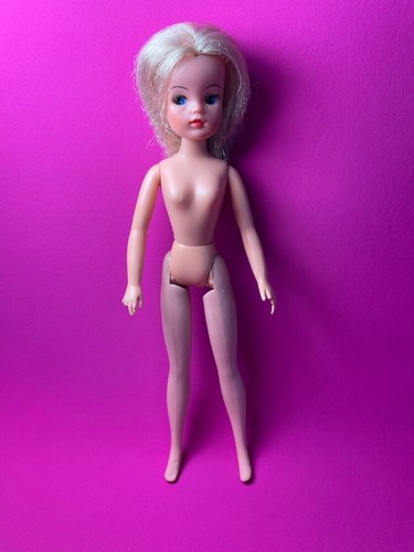 Vintage pedigree blonde - vintage, sindy