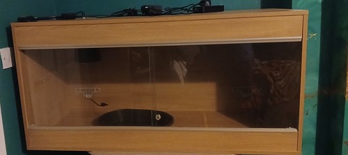 4ft wooden vivarium - setup,