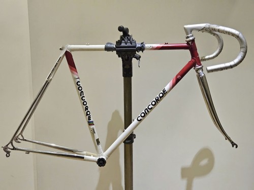 Concorde astore - (c-t), /
