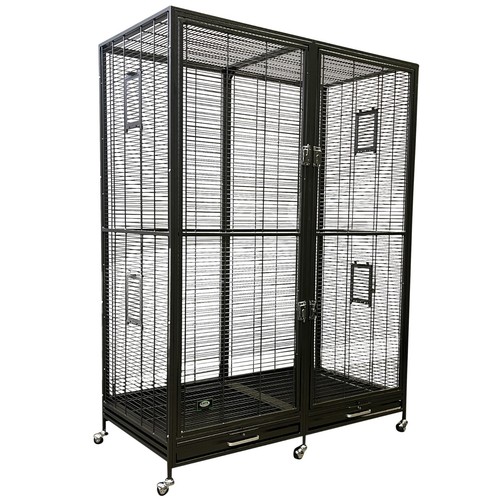 Borneo cage chinchillas - -,