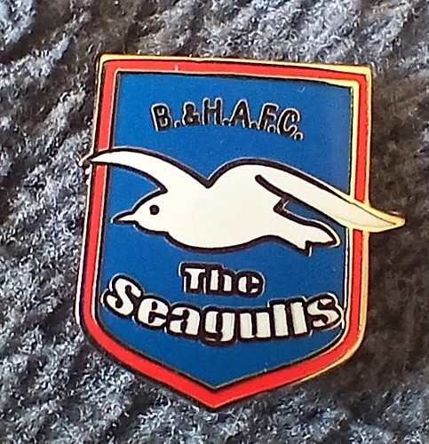 Brighton hove albion - hove,