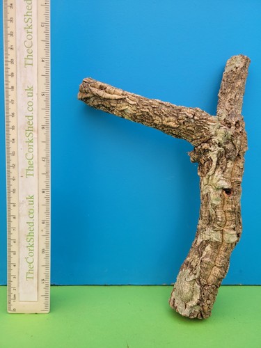Cork bark branch - cork, snake