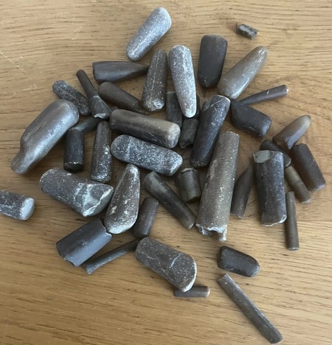 Job lot jurassic coast - job,