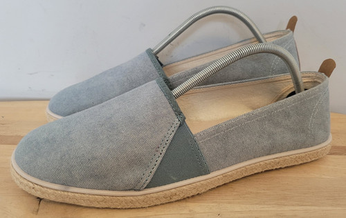 Hotter tansy duck - duck, blue