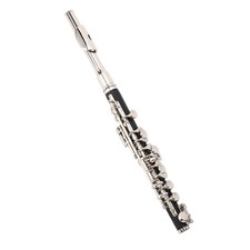 _C Piccolo Flute Instrument