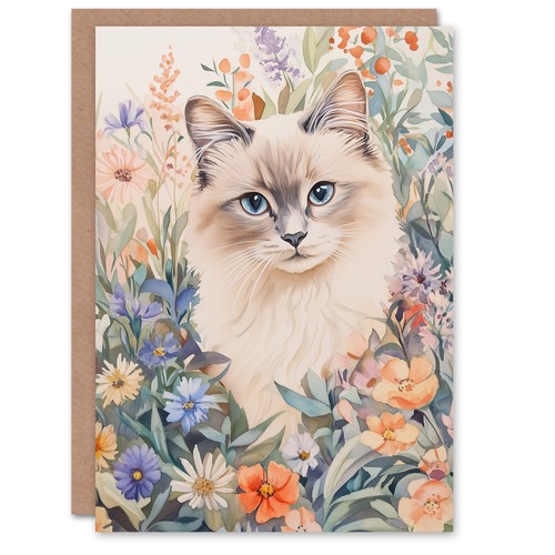 Ragdoll cat lover - lover, pet
