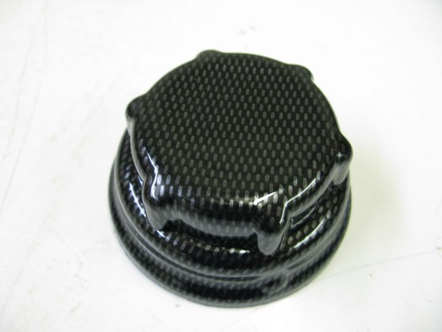 Ford focus carbon fiber abs - focus,