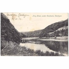 CARDIGAN Rowing Boat on the River Teifi Postcard, Postmarked Cardigan 1904