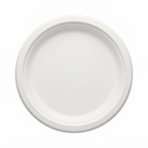 Bagasse paper plates white - plates,