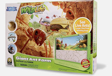Uncle Milton | Giant Ant Farm