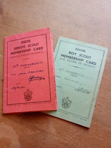 Senior scout membership - scout,
