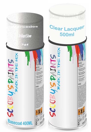 Spray aerosol paint - paint, for