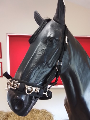 Black aerborn lunge cavesson - lunge,