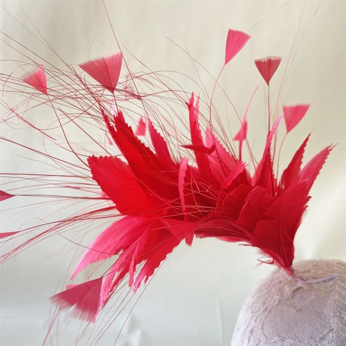 Goose coque twisted - coque, feather