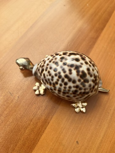Cowrie sea shell - cowrie, turtle