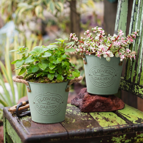 2pcs vintage flower - 2pcs, pot