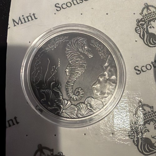 Scottsdale mint 2025 - scottsdale,
