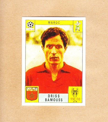 Panini fifa world - fifa,