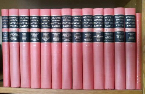 Complete junior oxford - junior,