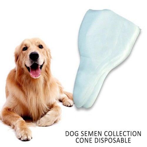 Canine artificial insemination - canine,
