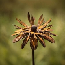 1/2Pcs Rusty Cornflower Garden