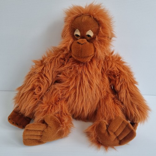 Dowman orangutan ape monkey - orangutan,