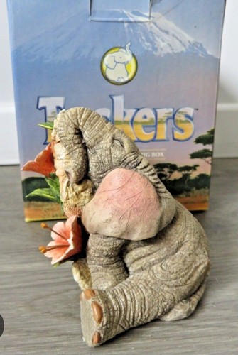 Tuskers sleepy saffron - tuskers, "sleepy