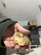 Sherratt And Simpson Rabbit