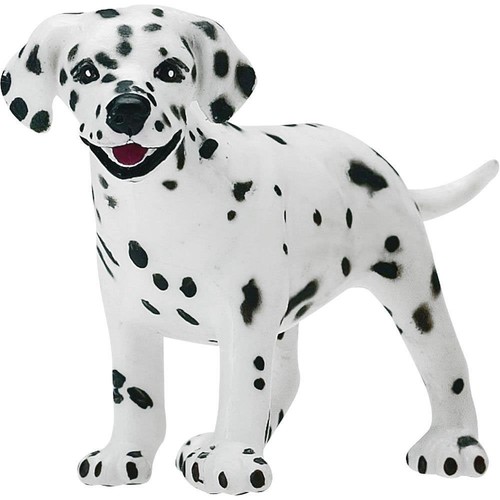 Dalmation puppy dog - dalmation, model
