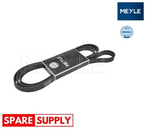 Ribbed belts for - belts,