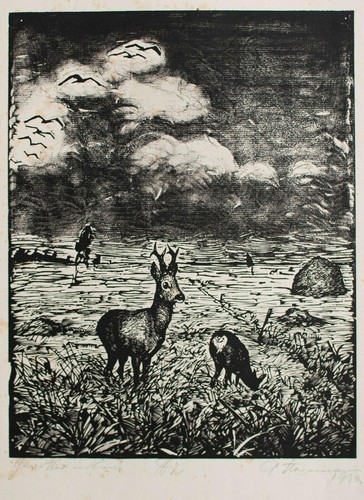 Arminius hasemann thunderstorm - arminius,
