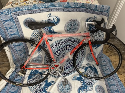Steve goff racing road bike - steve,
