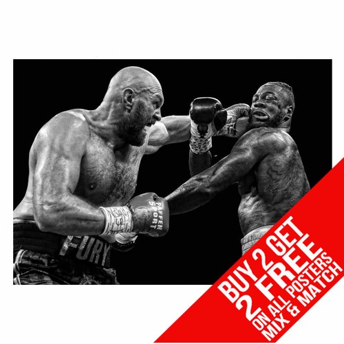 Tyson fury dd4 - vs, wilder