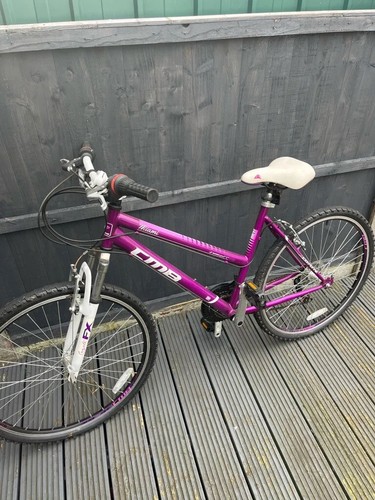 Mountain bike - mountain,