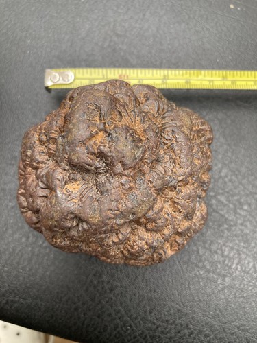 Iron pyrite nodule from seven - nodule,