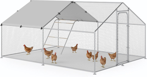 Large chicken run - run, x