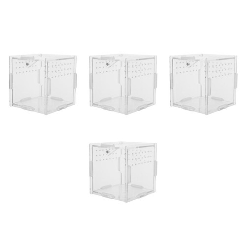 Set reptile terrarium - of, 4