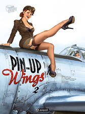 Pin Up Wings Sign Man Cave Garage Shed Vintage Gift workshop Plane Sexy Lady