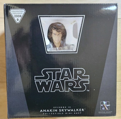 Star wars anakin skywalker - wars,