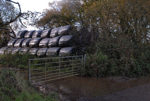 Photo 6x4 silage bales - photo,