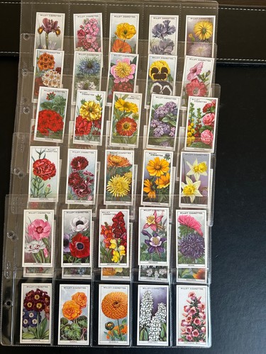 Wills full set garden - set-, flowers