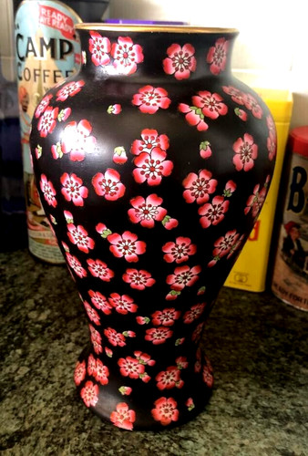 Beautiful tall oriental - tall,