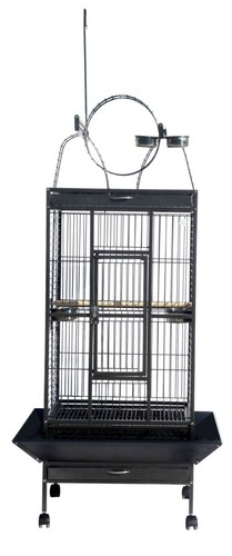 Pegasus medium bird - pegasus,